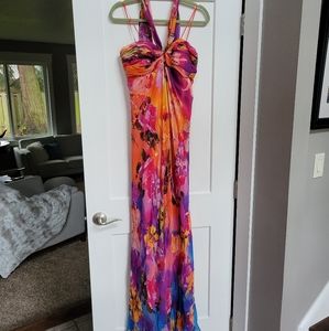 Caché Silk Chiffon Dress